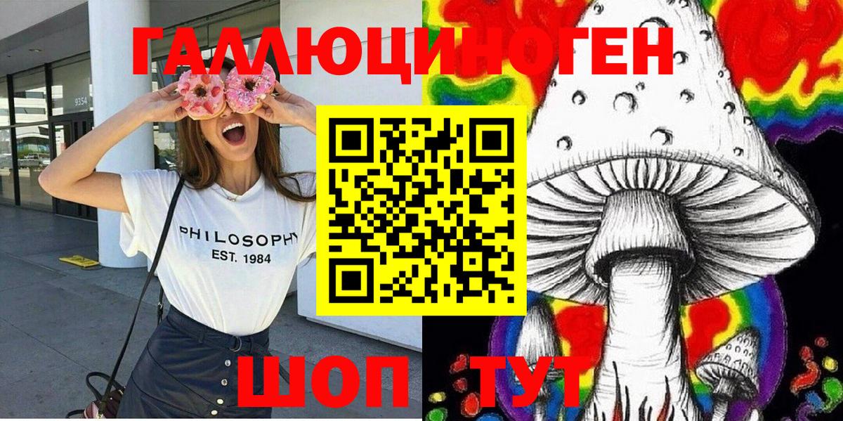 Канаш  Галлюциногенные грибы Psilocybe  Вход с VPN 