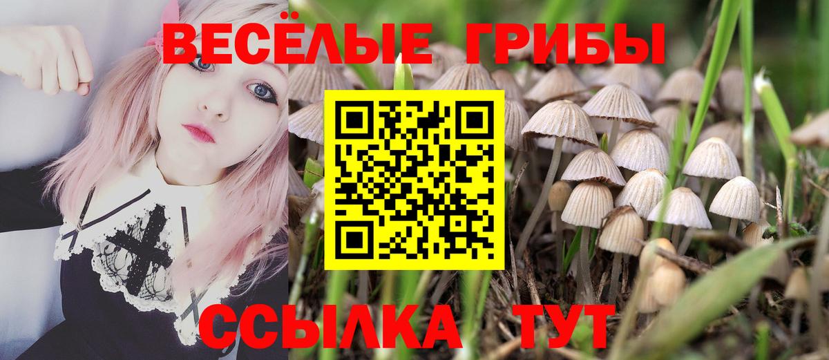 Псилоцибиновые грибы ЛСД Канаш